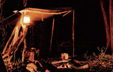 Thumbnail2