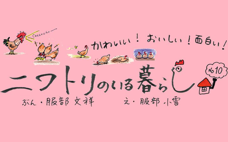 Vol29 niwatori03