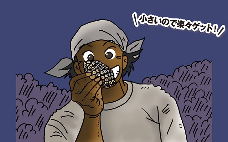 Vol29 tukamaero main