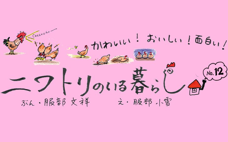 Vol31 nowatori03