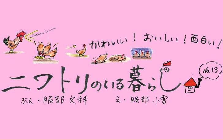 Vol32 niwatori03