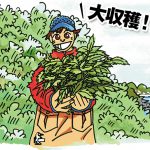 Vol32 tukamaero main