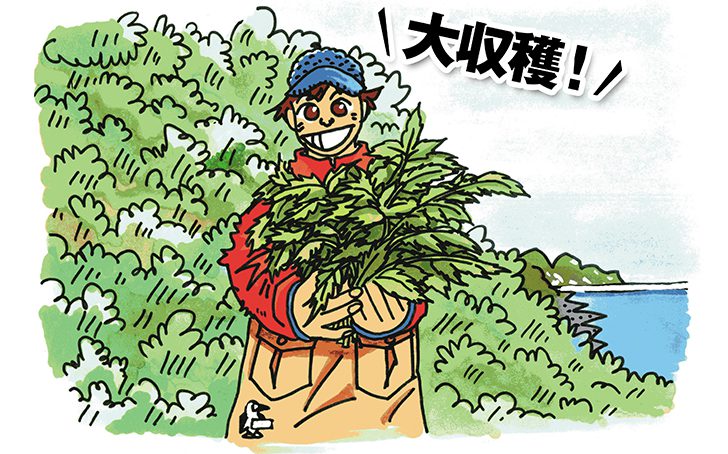 Vol32 tukamaero main