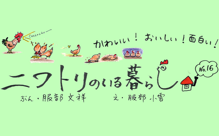 vol.35】にわとりのいる暮らし No.16 | Fielder