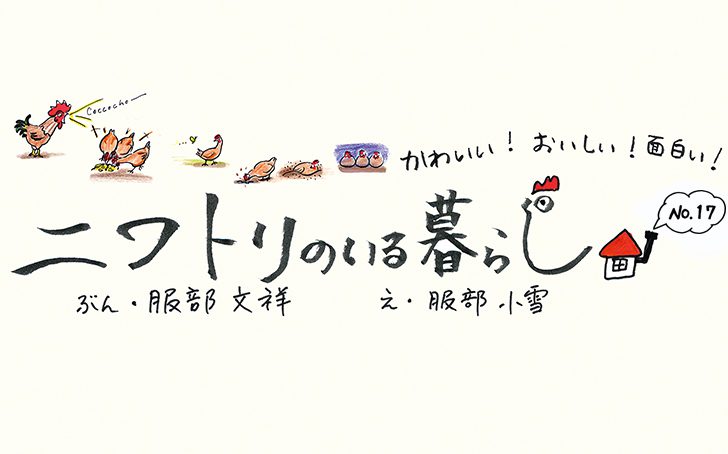 vol.36】にわとりのいる暮らし No.17 | Fielder