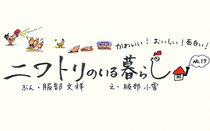 にわとりページ vol.36】にわとりのいる暮らし No.17 | Fielder