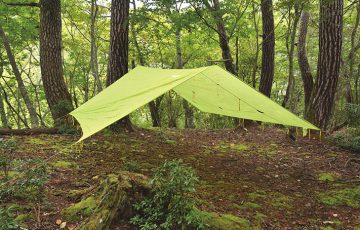 Vol36 tarp 01