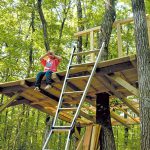 Vol41 morinisumu main