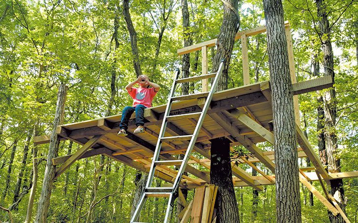 Vol41 morinisumu main