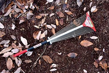 Fielder43 mori koramu2