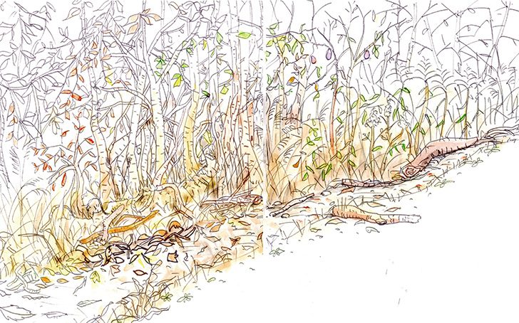 Fielder43 tada main0