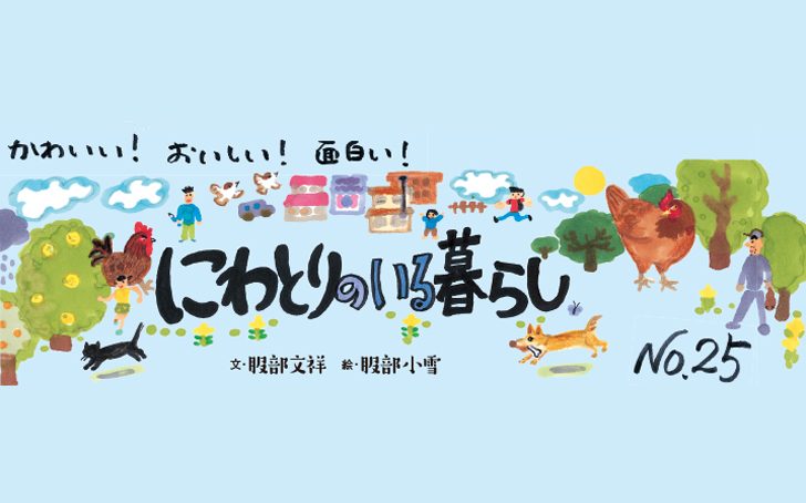 F46 niwatiri main