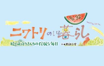 F53 niwatiri main