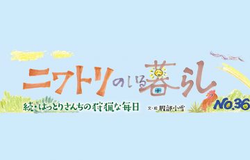 Vol57 niwatori main