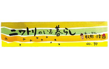 F60 niwatori main