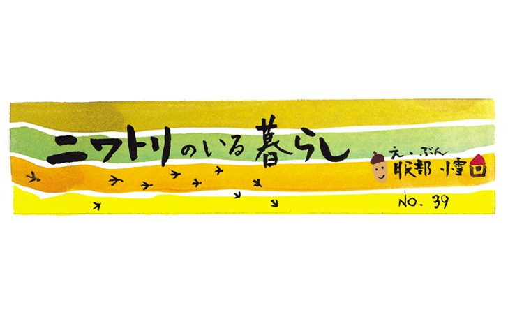 F60 niwatori main
