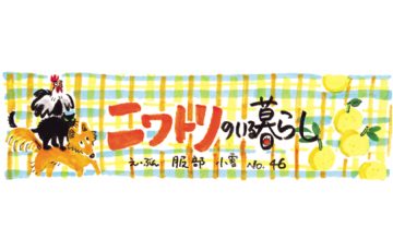 F67 niwatori 1