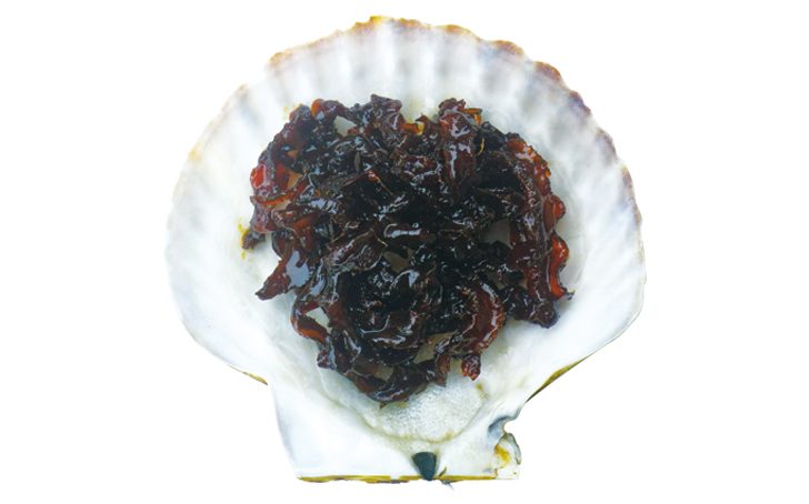 F69 hozonshoku 1