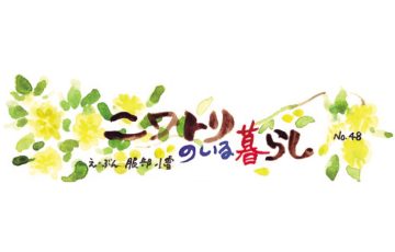 F69 niwatori 3