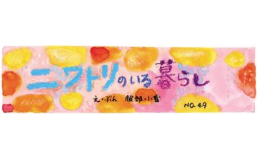 F70 niwatori 3
