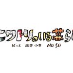 Vol71 niwatori 3
