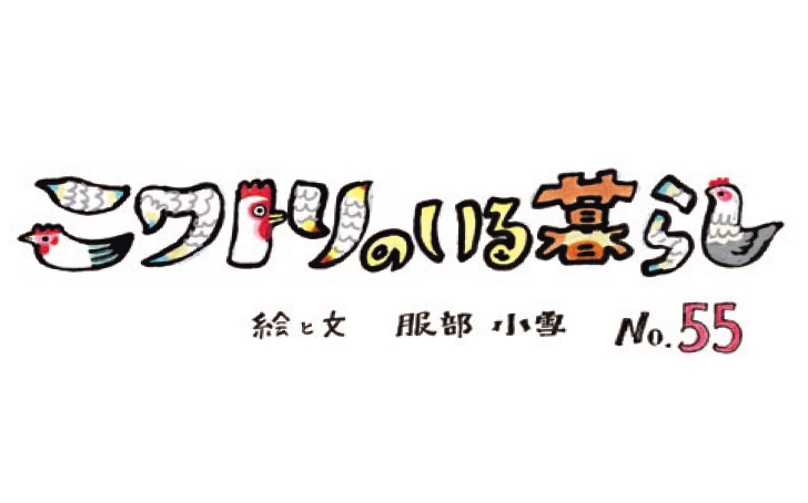 Vol76 Niwatori 3