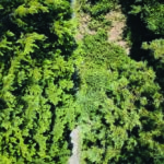 Dcim100mediadji 0019.jpg