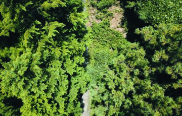 Dcim100mediadji 0019.jpg