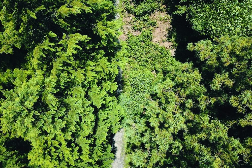 Dcim100mediadji 0019.jpg